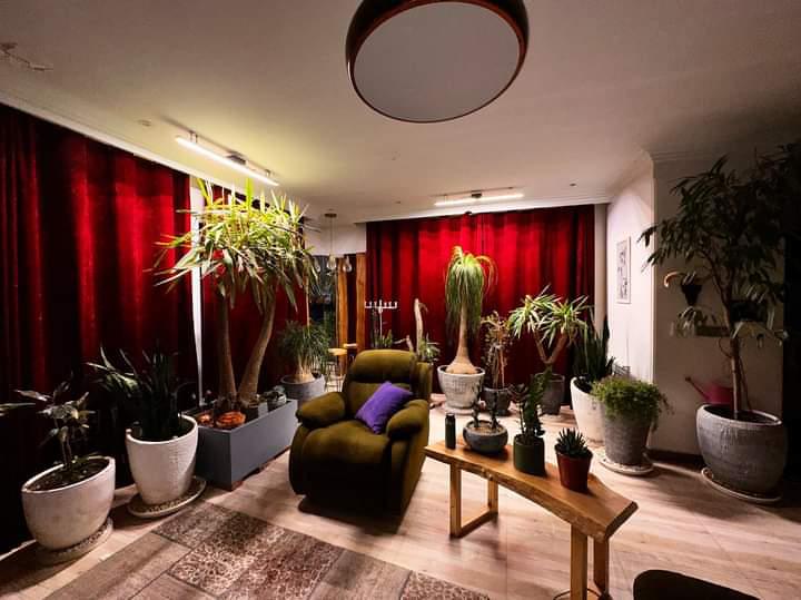 راهنمای خرید لامپ رشد گیاه