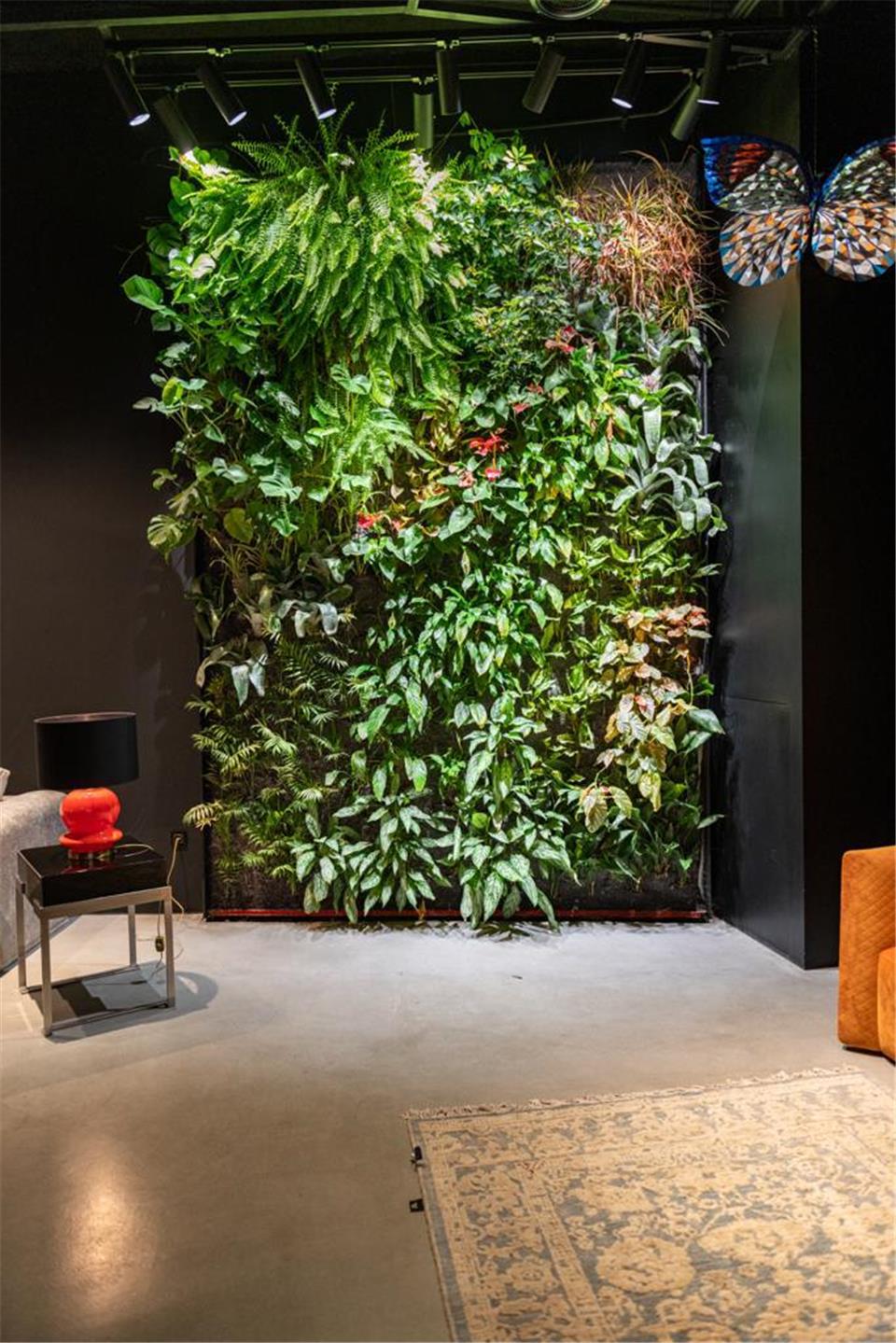 لامپ رشد گیاه