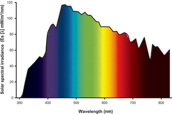 بهترین طیف نور لامپ رشد گیاه - بهترین نور نخصوص رشد گیاه