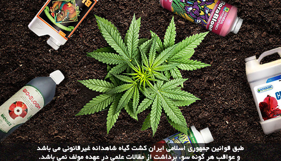 کود مناسب شاهدانه