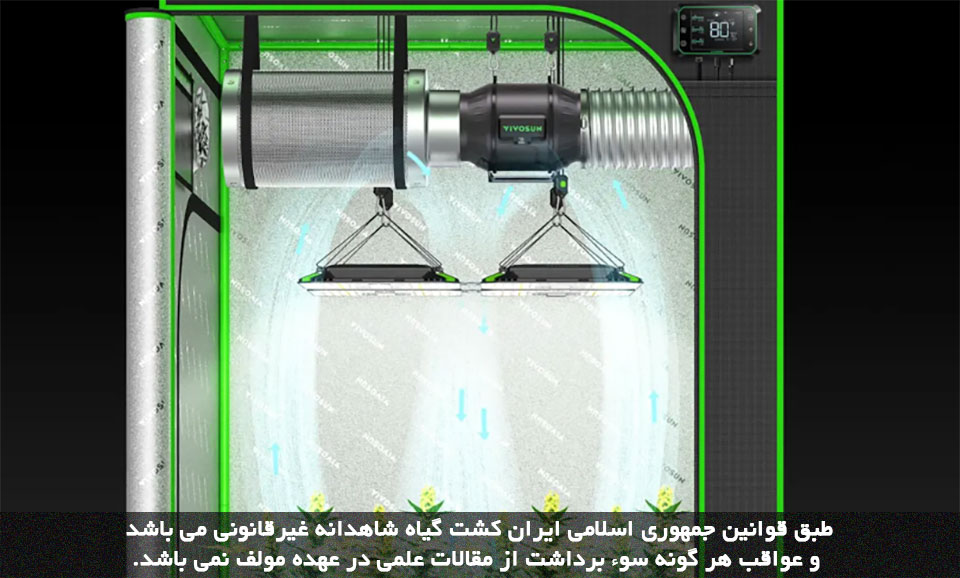 دفع بوی بد شاهدانه