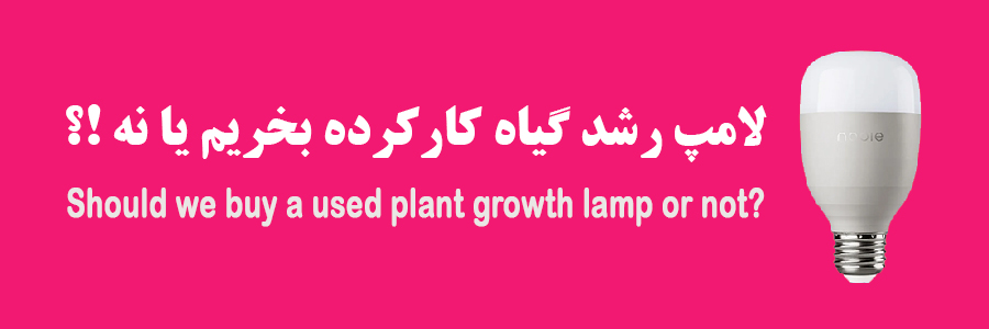 لامپ رشد گیاه کارکده بخریم یا نه