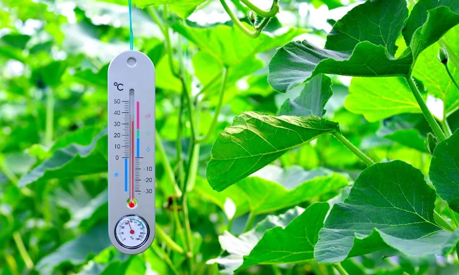 مدیریت گرماییش گلخانه