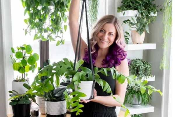 ساخت گلخانه در آپارتمان