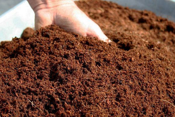 نحوه استفاده از کوکوپیت