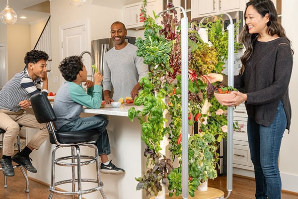 گلخانه آپارتمانی کوچک