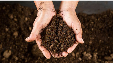 اهمیت خاک مناسب 