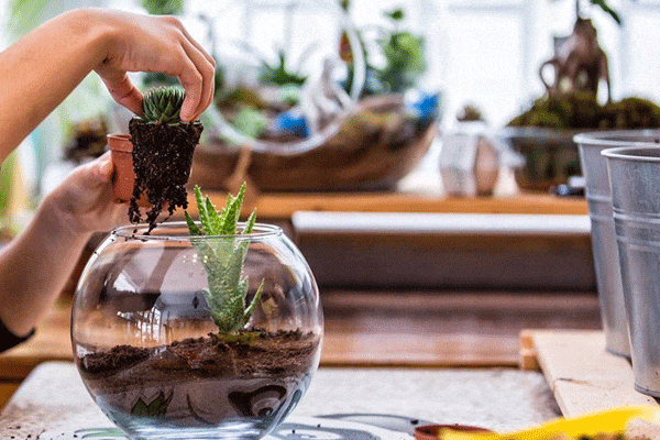 نحوه درست کردن تراریوم