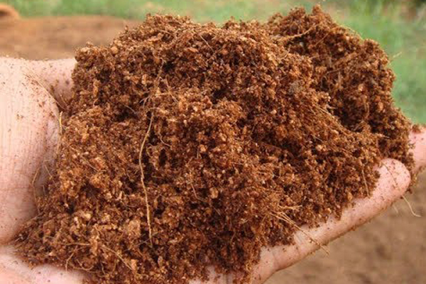 طرز تهیه کوکوپیت