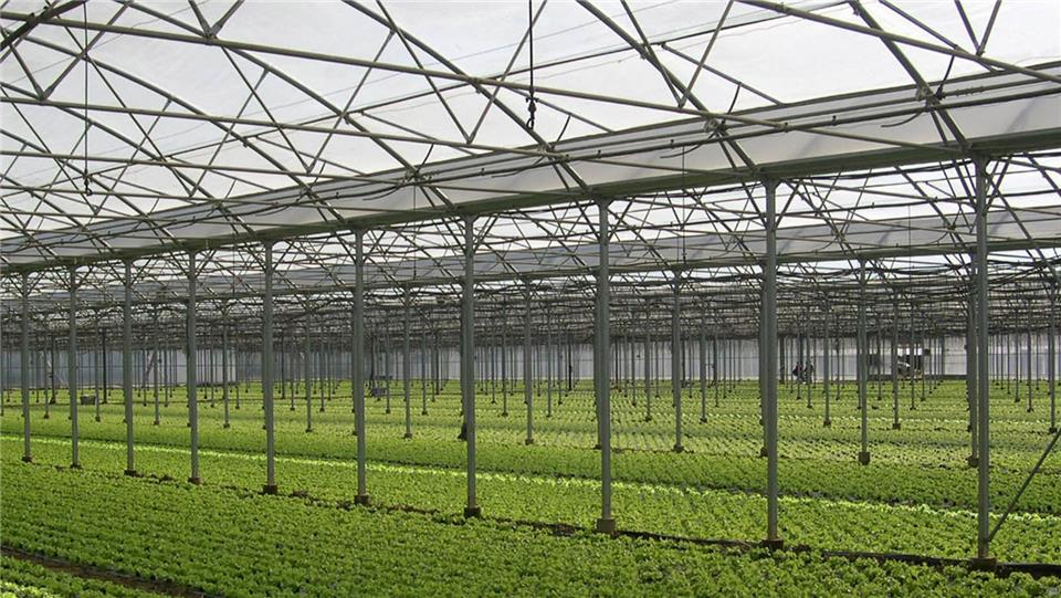 ساخت گلخانه مدرن