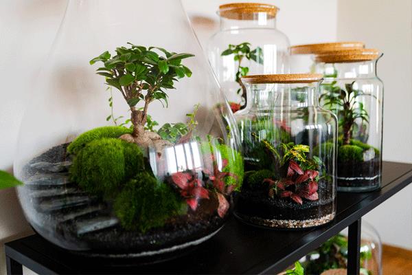 پرسودترین محصول گلخانه ای