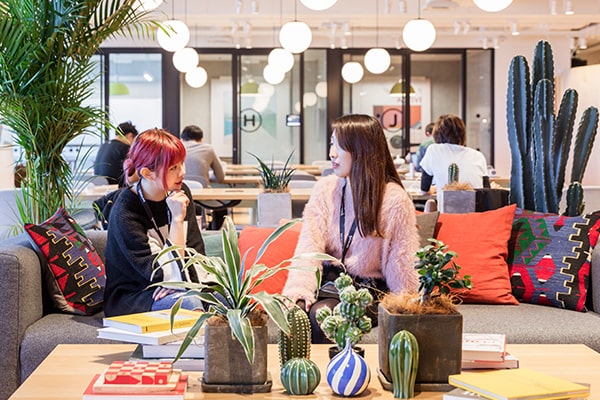 گلخانه در خانه