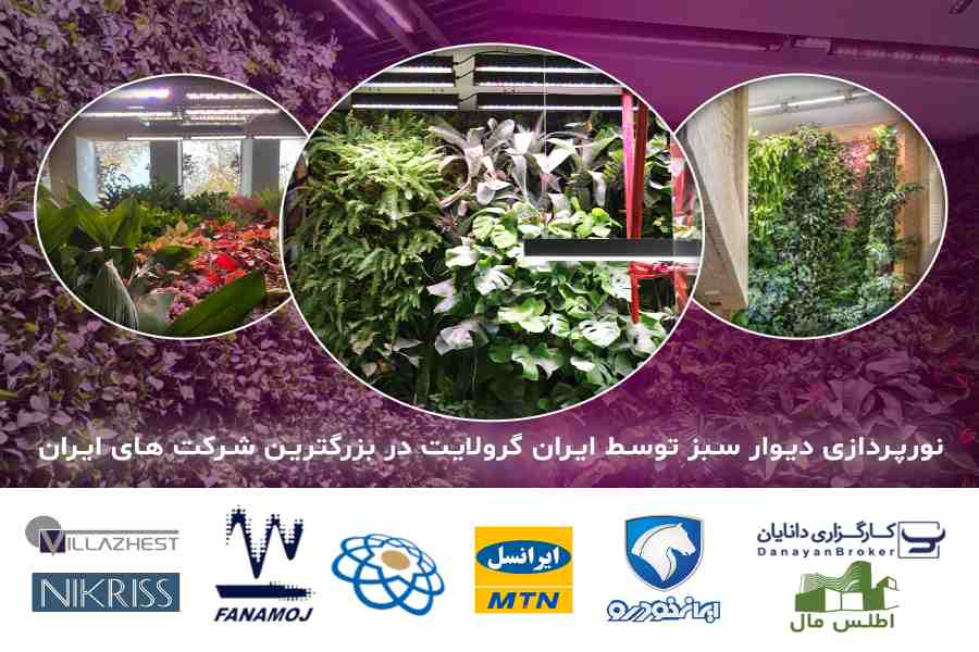 نور دیوار سبز