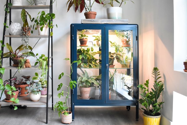 ساخت گلخانه در اتاق