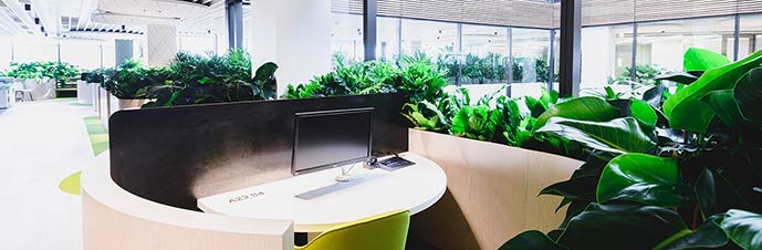 گیاه در محیط کار