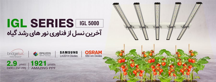 لامپ رشد گیاه super igl