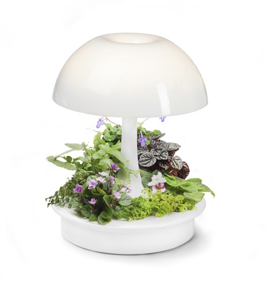 تفاوت لامپ رشد گیاه معمولی و اصل