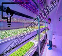 کشاورزی مدرن