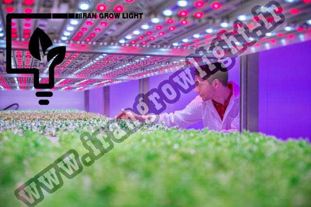 کشاورزی مدرن