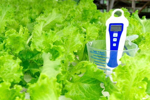 ph متر در گلخانه