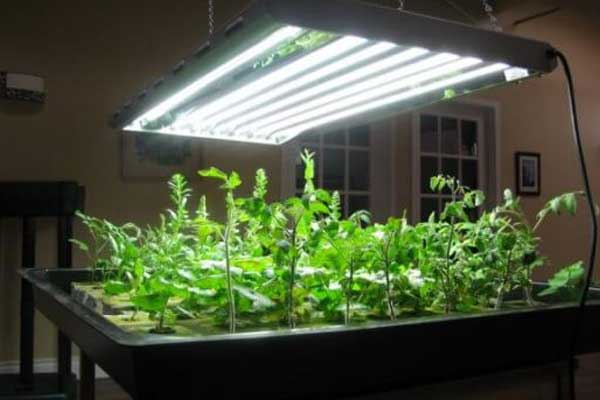 مزایای لامپ فلورسنت