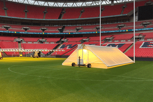 رشد چمن با نور مصنوعی