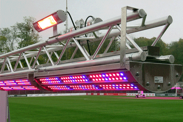 نور مصنوعی چمن طبیعی 