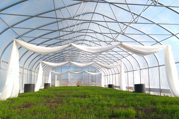 برای راه اندازی یک گلخانه چقدر سرمایه لازم است