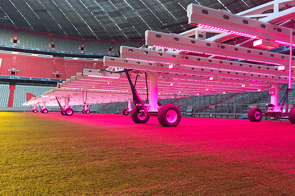 نور مصنوعی چمن فوتبال