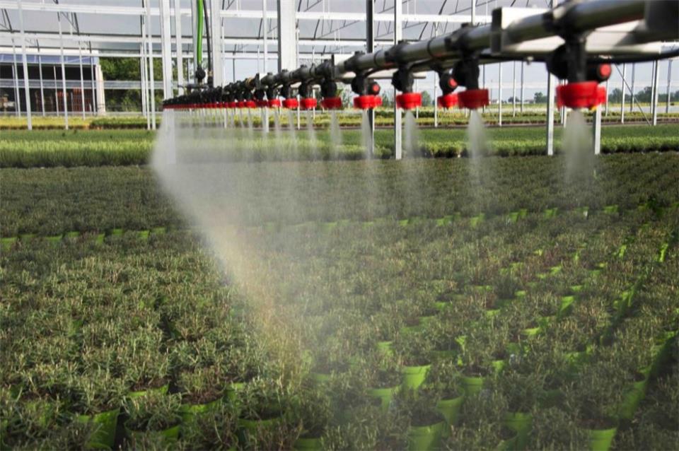 ساخت گلخانه مدرن