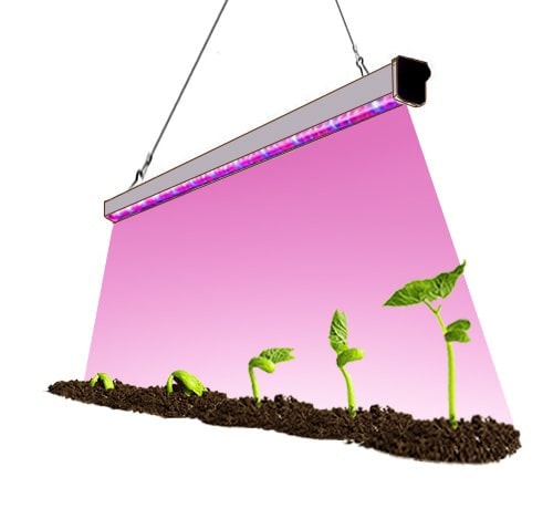 اتاق رشد گیاه