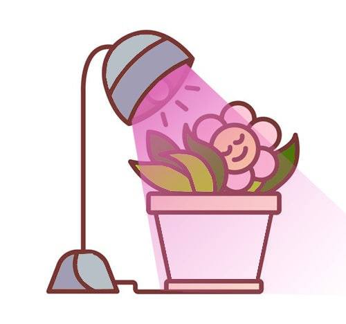 لامپ سرپیچ دار رشد گیاه