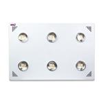 مولتی چیپ رشد گیاه