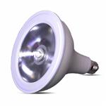 turbulent-light-bulb