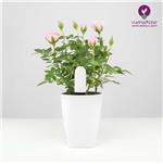 خرید سنسور هوشمند گل و گیاه