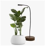 لامپ مخصوص رشد گیاه رومیزی 