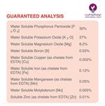 قیمت کود بوستر فیدینگ گرین هاوس - +booster PK 