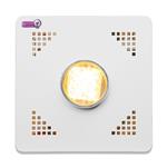 لامپ مخصوص رشد گیاه