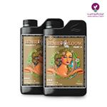 قیمت کود مایع  سنسی کوکو بلوم ادونس 