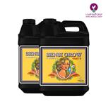 خرید کود سنسی گرو ادونس - Advanced nutrients sensi grow A-B