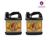  کود  سنسی گرو ادونس 