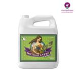 قیمت کود مادر ارس سوپر تي ادونس - قیمت کود ادونس مادر ارس سوپر تي