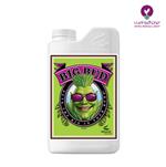 قیمت کود بیگ باد ادونس -  Advanced  big bud Fertilizer