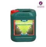 قیمت کود کانا فلاش