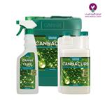 قیمت کود کانا کور