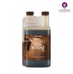 خرید کود بیو کانا بیو بوست