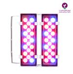 پروژکتور دیواری رشد گیاه 40 وات با طیف تخصصی