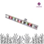 photosynthesis-lamp-aquarium