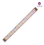 لایت لاین رشد گیاه تو کار