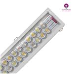 لایت لاین رشد گیاه تو کار